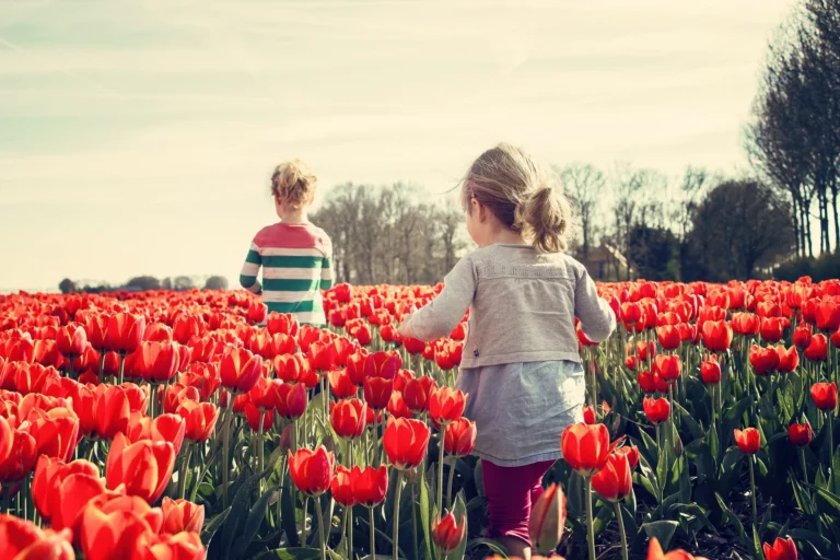 Dagje in Nederland