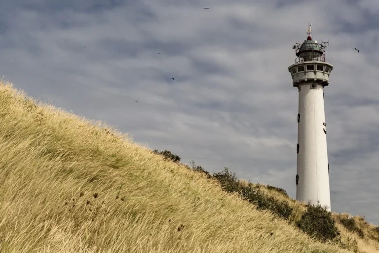 Dagje in Nederland